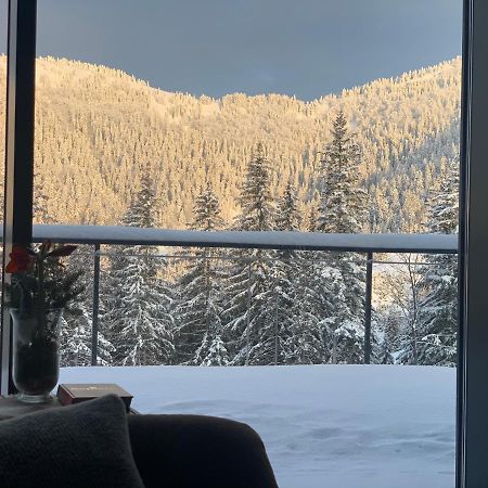 Vila Relax دونوفالي المظهر الخارجي الصورة